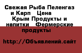 Свежая Рыба Пеленгаз и Карп › Цена ­ 220 - Крым Продукты и напитки » Фермерские продукты   